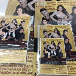 Vietnamese Event Posters and Flyers